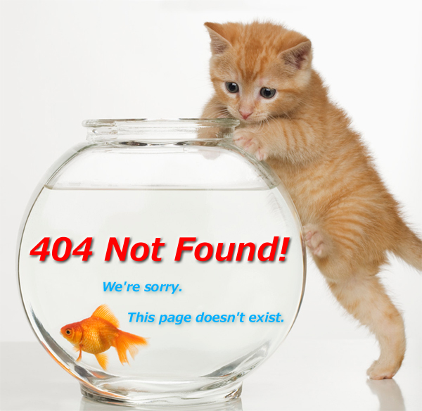404Error